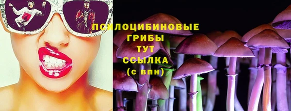 дживик Михайловск