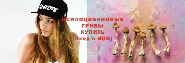 бошки Михайлов