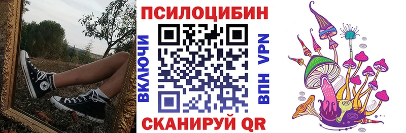 купить закладку  Темников  Псилоцибиновые грибы Psilocybe 